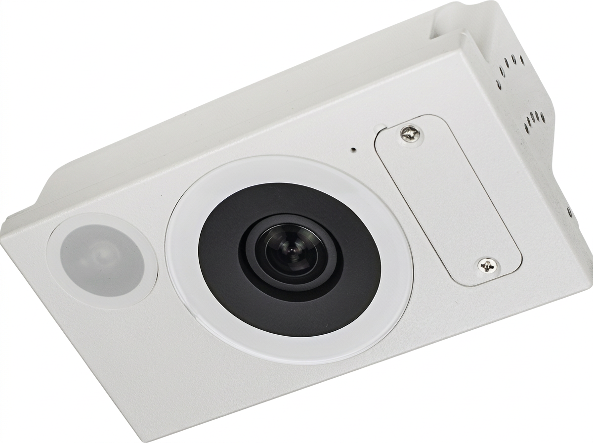 Enterprise-grade split-view mobile camera